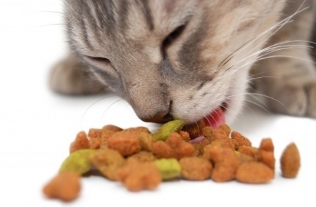 kat spiser