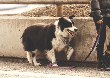 undgå forbrændinger