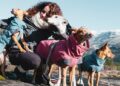 vælg din hundejakke